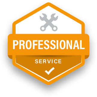 Professional Service